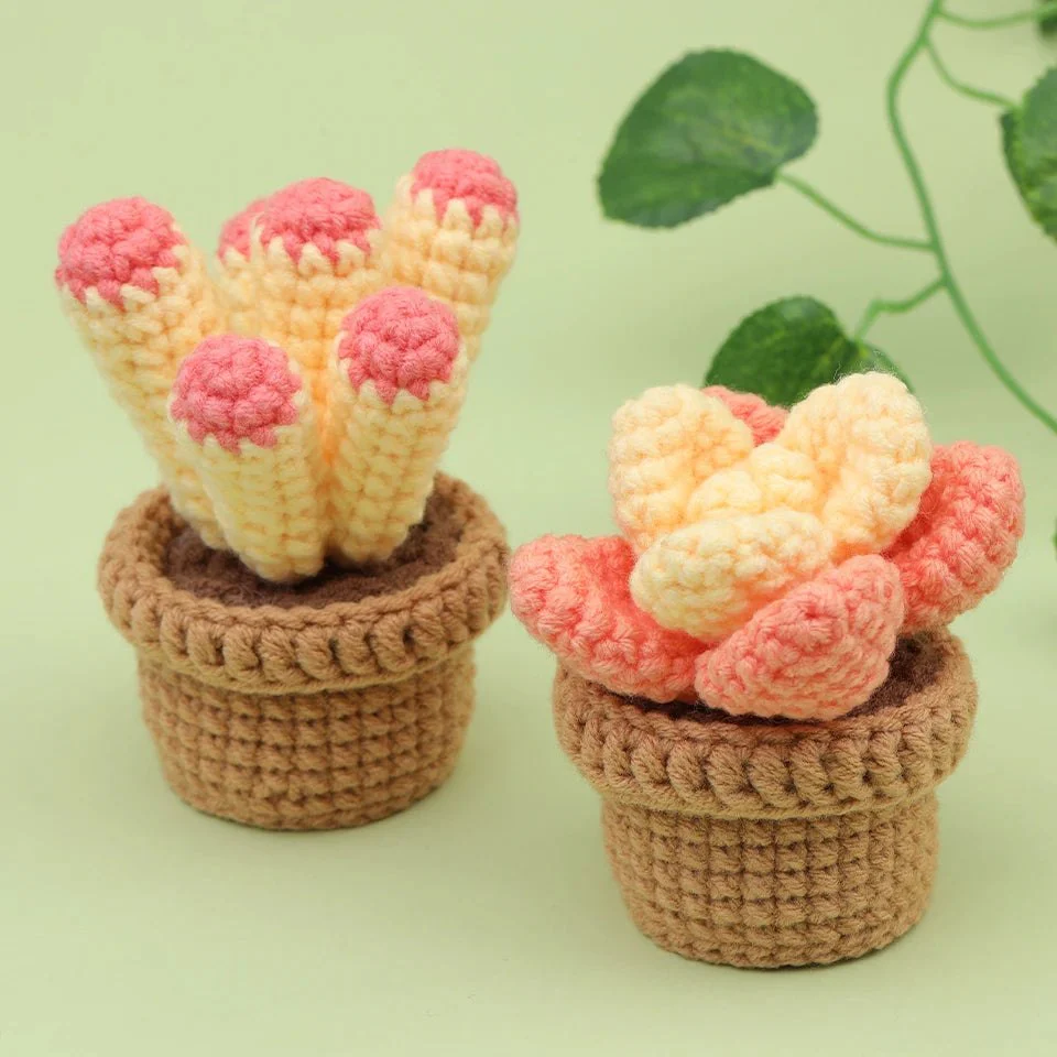 Beginner Crochet Kit - Potted Cactus Plant - Image 16