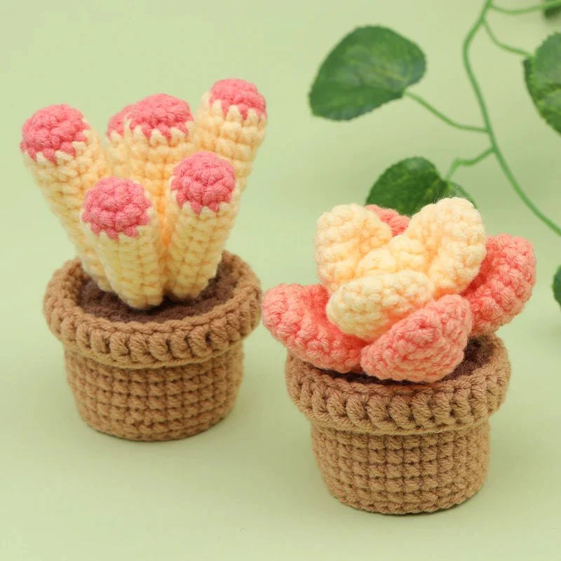 Beginner Crochet Kit - Potted Cactus Plant - Image 4
