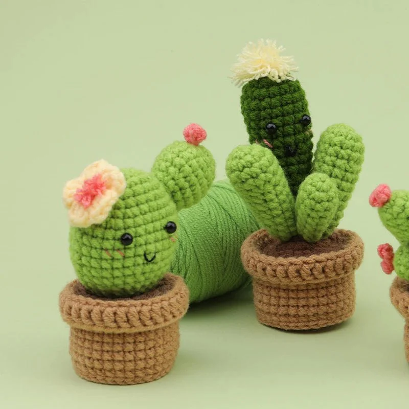 Beginner Crochet Kit - Potted Cactus Plant - Image 6
