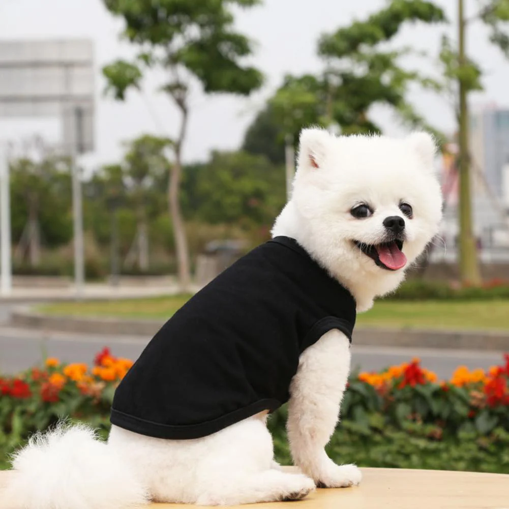 Cotton Blank Dog T-Shirts - Image 10