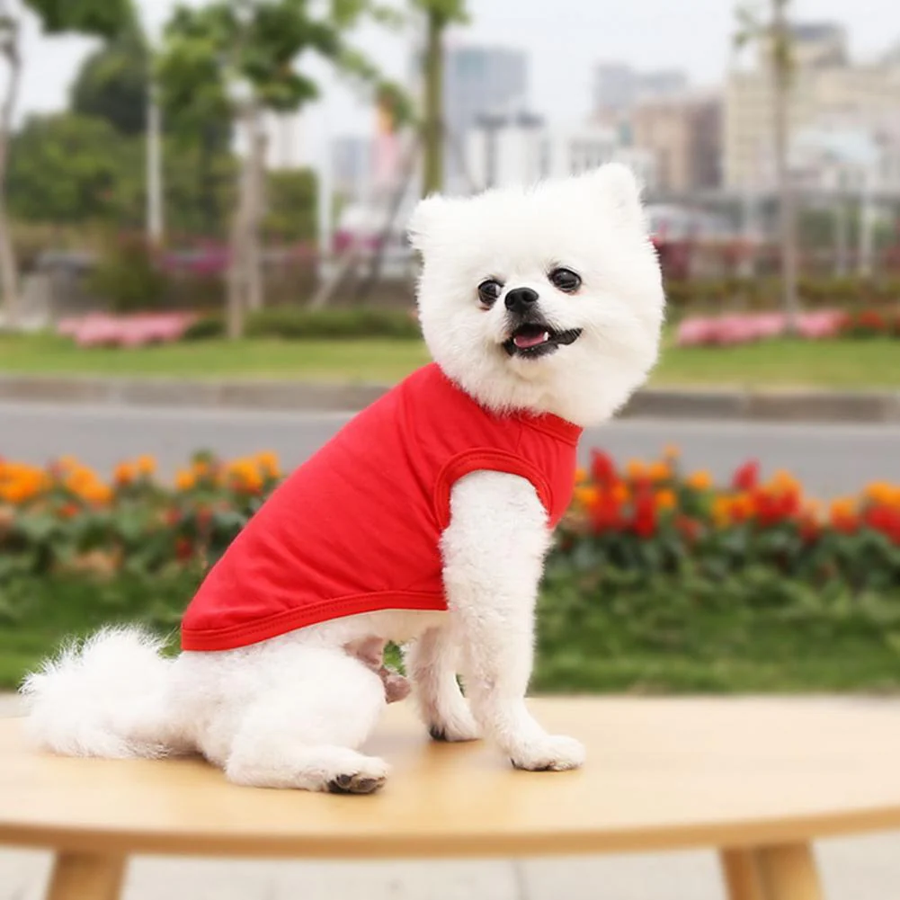 Cotton Blank Dog T-Shirts - Image 12