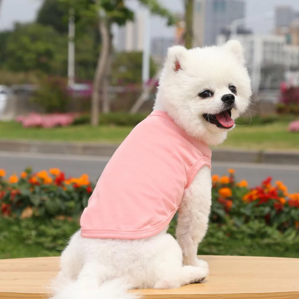 Cotton Blank Dog T-Shirts - Image 13