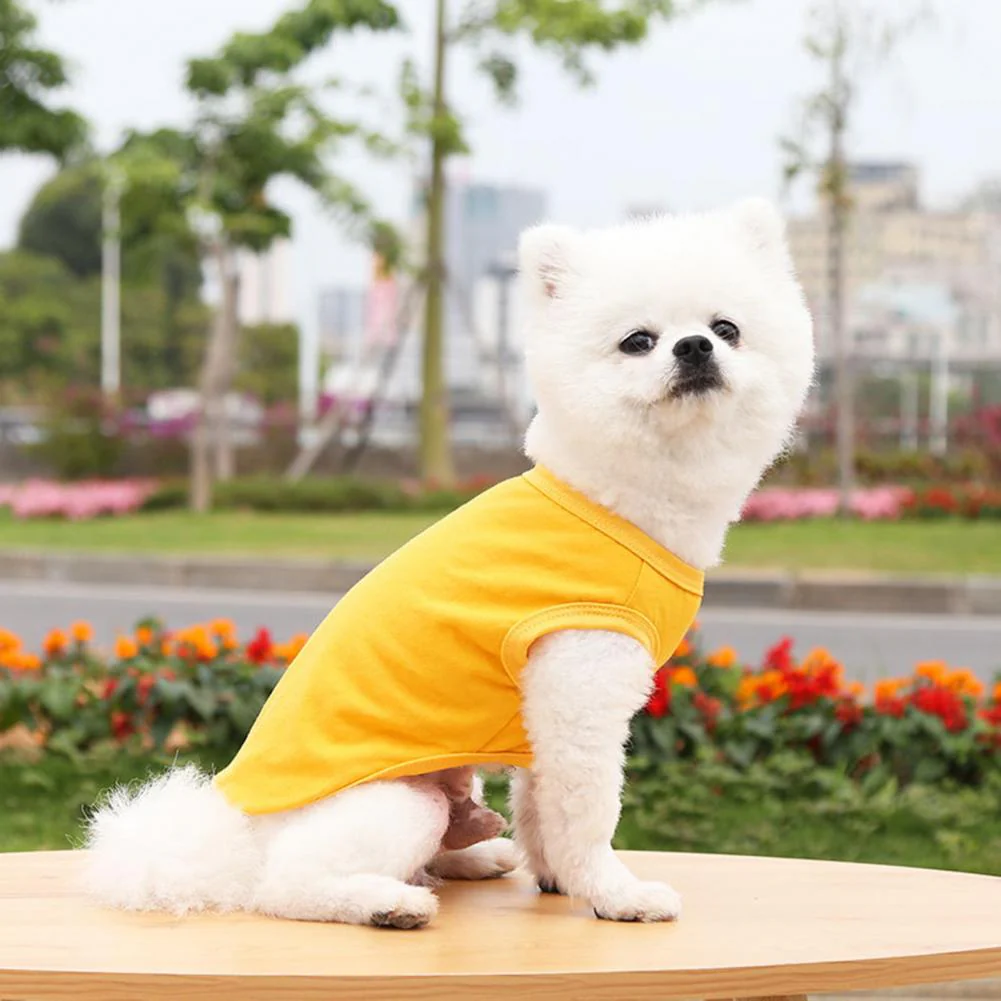 Cotton Blank Dog T-Shirts - Image 14
