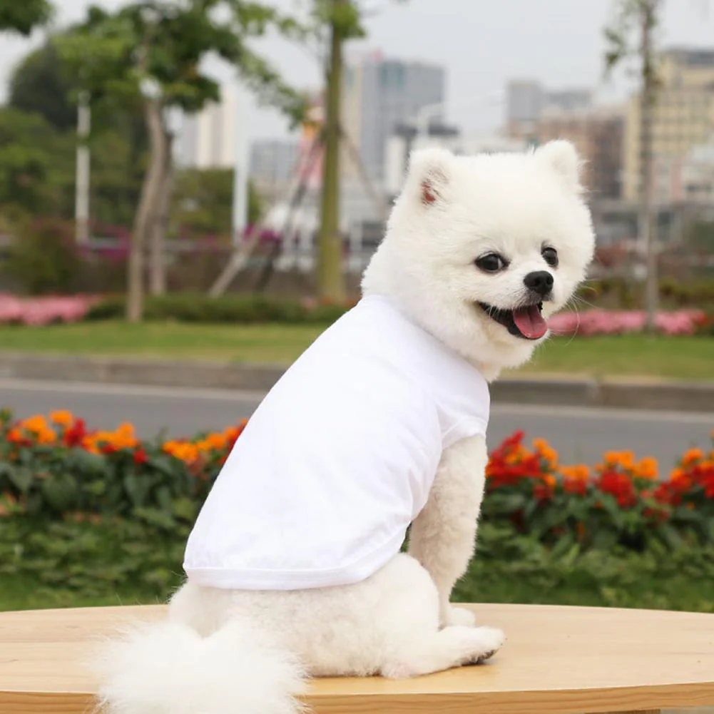 Cotton Blank Dog T-Shirts - Image 15