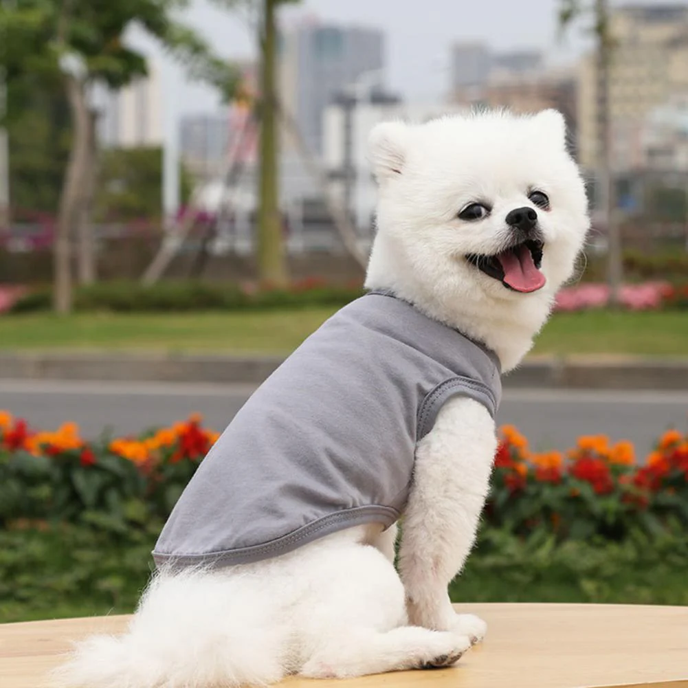 Cotton Blank Dog T-Shirts - Image 16