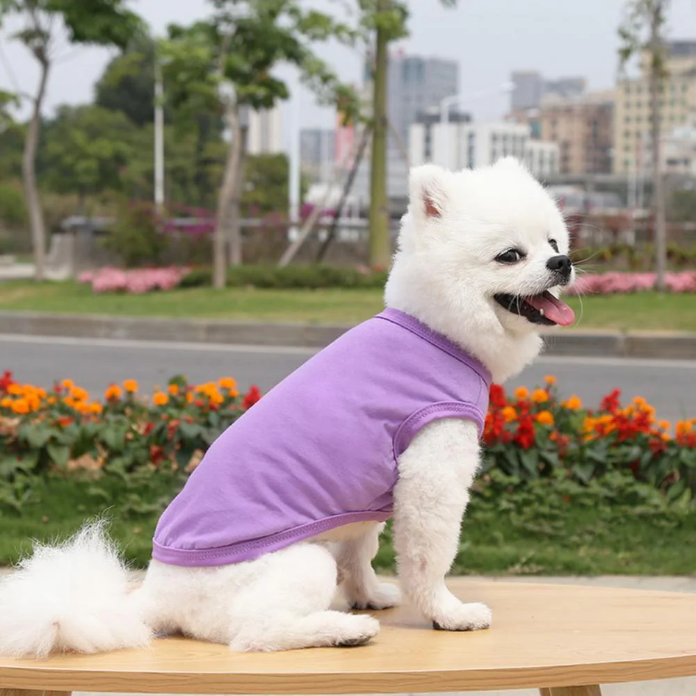 Cotton Blank Dog T-Shirts - Image 17